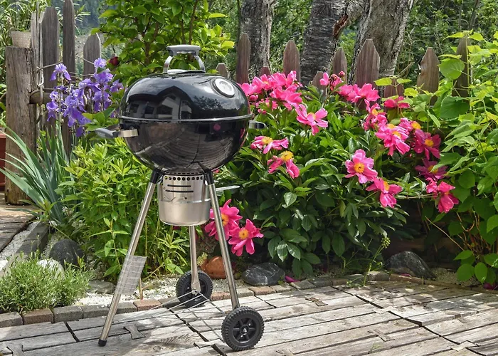 Wassermann Веннс